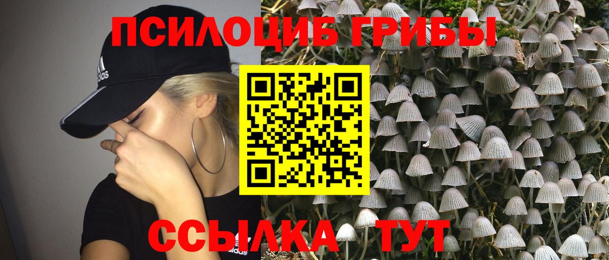 Псилоцибиновые грибы GOLDEN TEACHER  Вход с VPN  Алексин 
