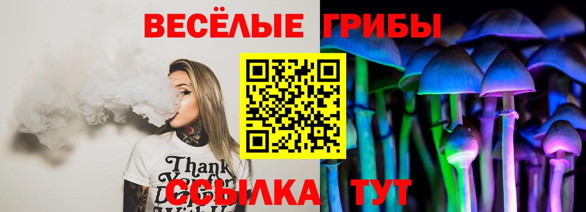 Псилоцибиновые грибы MAGIC MUSHROOMS Алексин